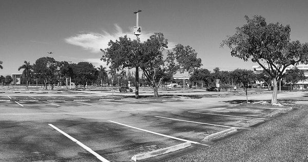 Sunlit parking lots on a university campus in summer